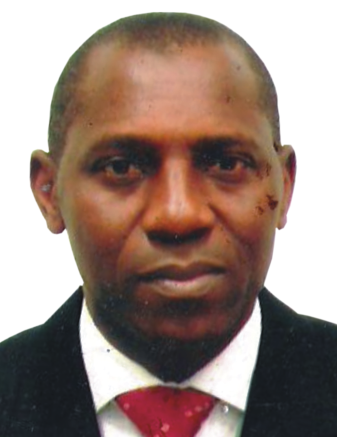 Dr. DejiAfuye, President AIMP